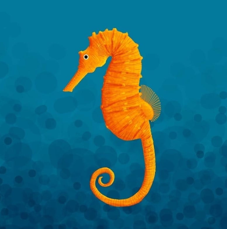 Facts-About-Seahorses