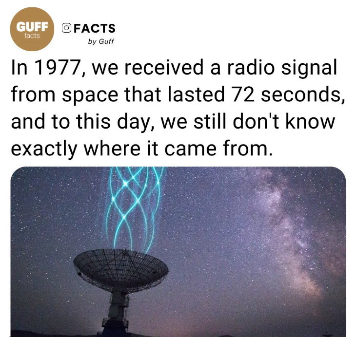 1977-facts