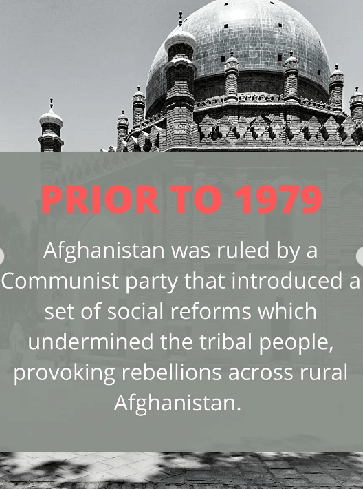 1979 Facts