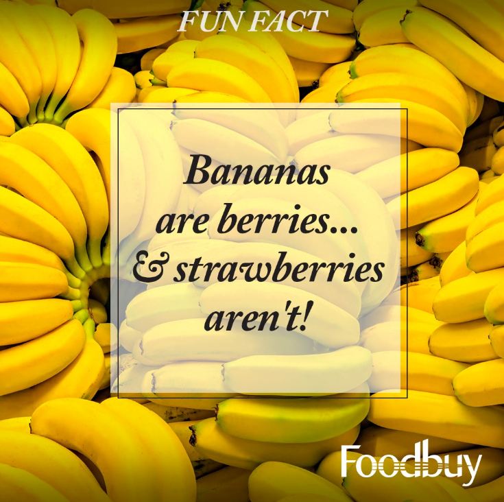 banana-fact