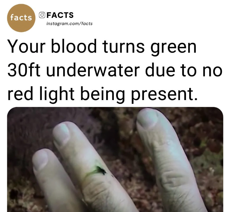 water-fact