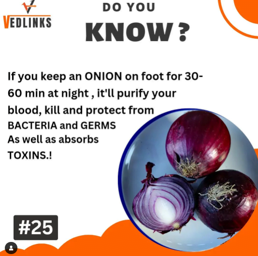 Facts of Onions