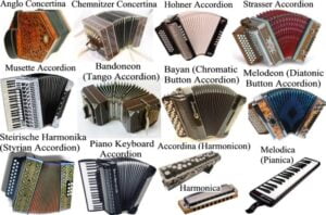 Types of accordion